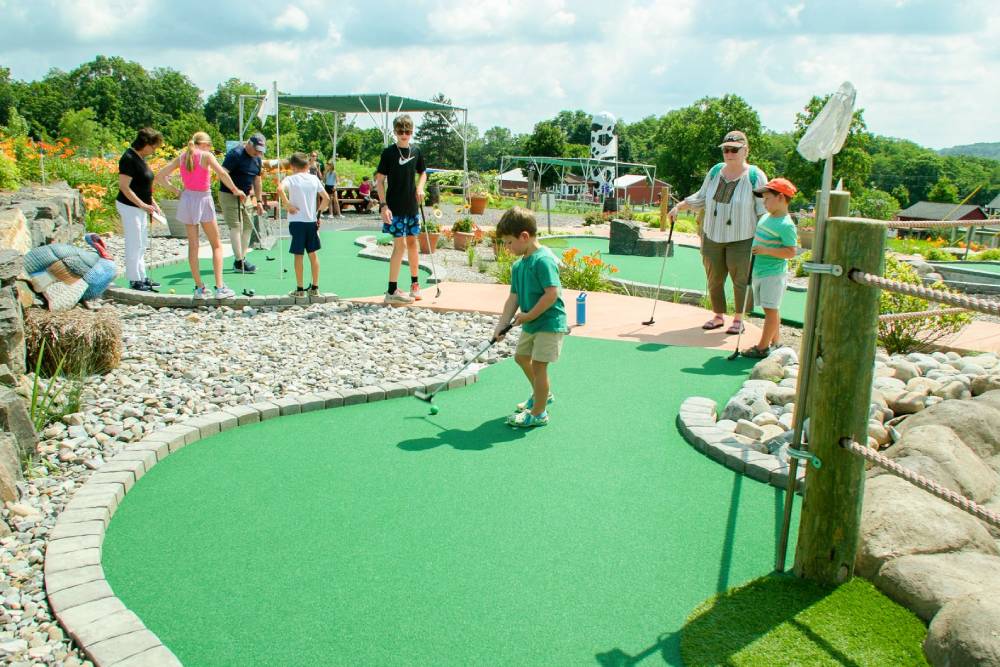Offering Mini Golf Birthday Party Packages At Your Entertainment Venue